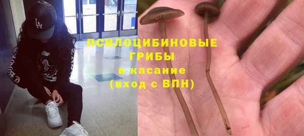 крисы Абаза