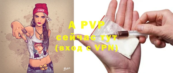 прущие грибы Михайловка