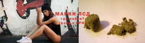 крисы Абаза