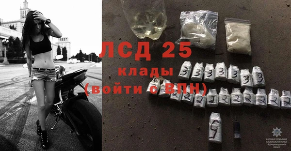 крисы Абаза