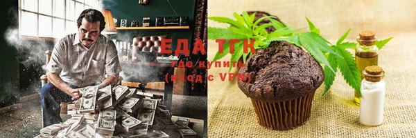 крисы Абаза