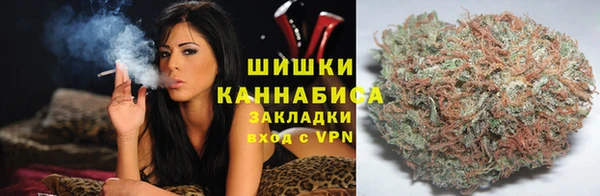 прущие грибы Михайловка